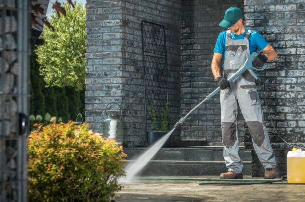 Animal Enclosure Cleaning in Mount Shasta, CA