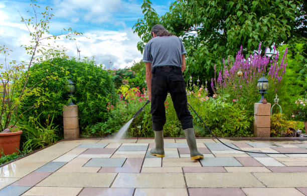 Best Driveway Pressure Washing  in Mount Shasta, CA