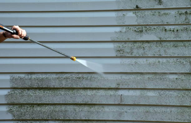 Best Warehouse Cleaning  in Mount Shasta, CA